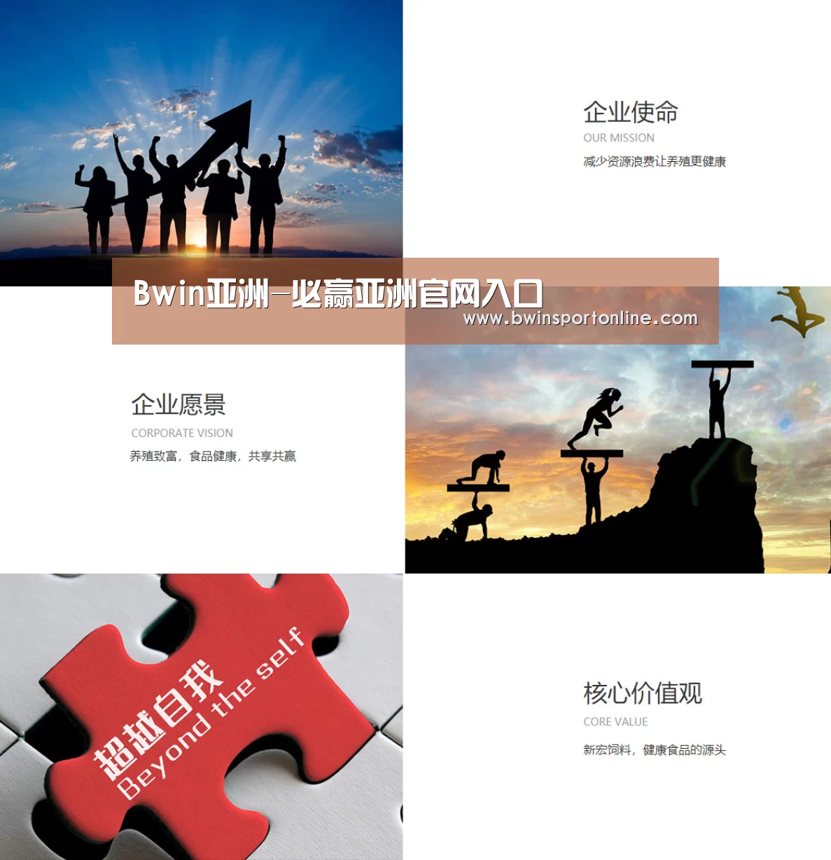 企业文化(图1)