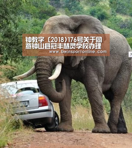 钟教字〔2018)176号关于同意钟山县冠丰慧灵学校办理变更手续的通知【bwin博彩直播】(图3) bwin博彩官网