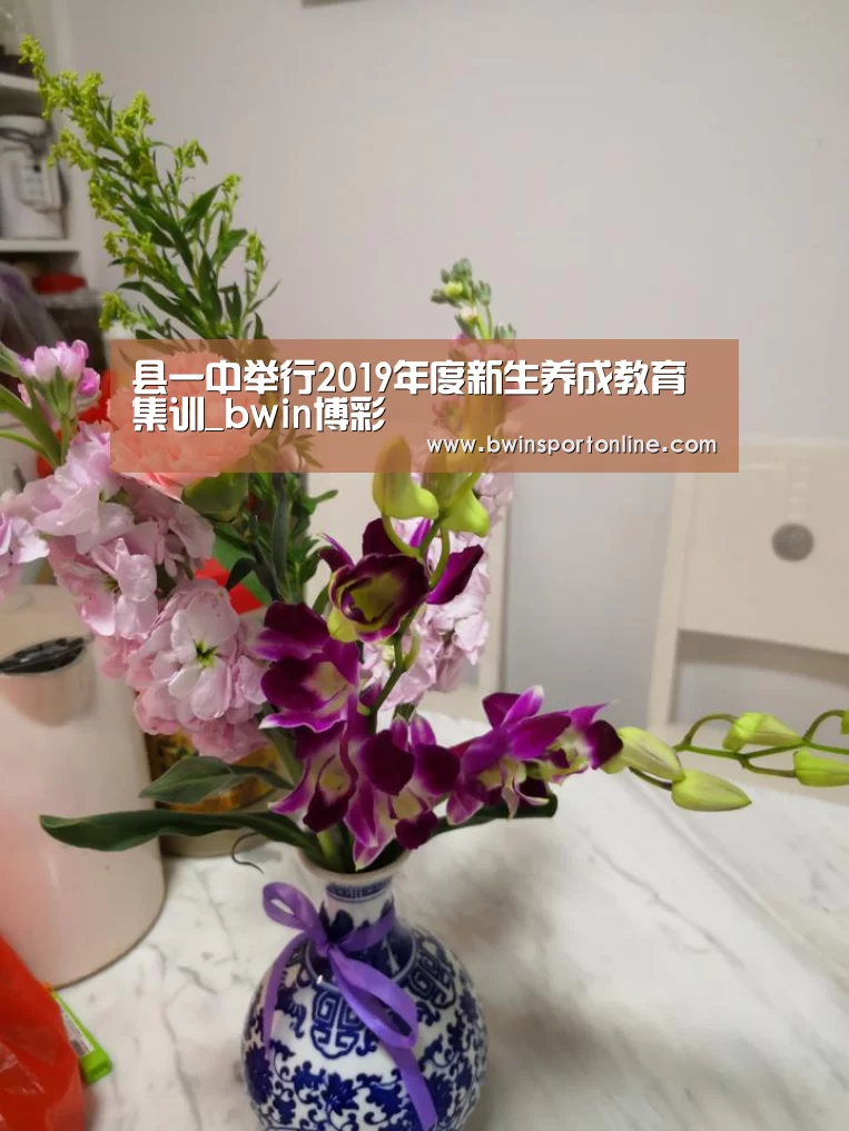 bwin必赢体育