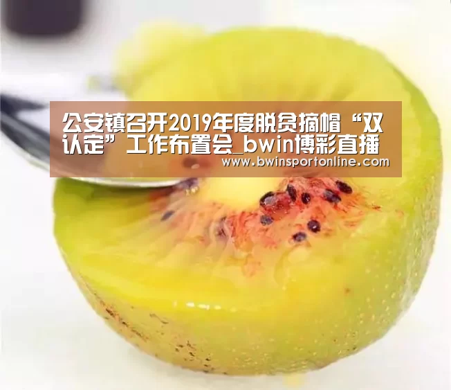 公安镇召开2019年度脱贫摘帽“双认定”工作布置会_bwin博彩直播(图1) bwin博彩官网