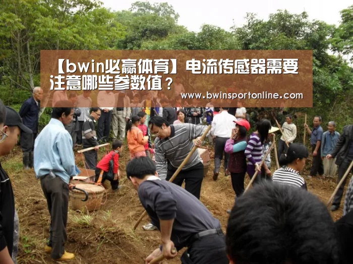 bwin博彩
