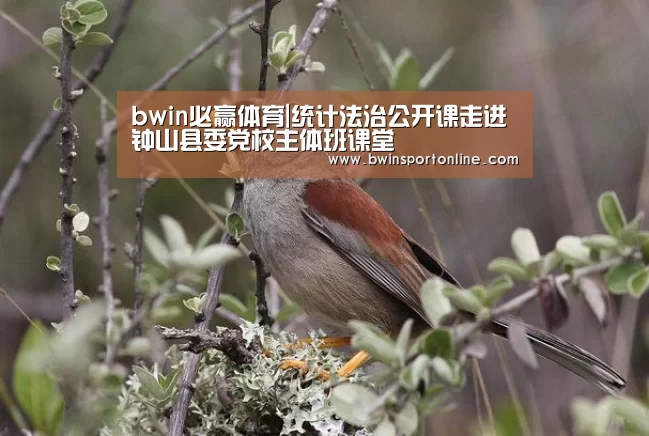 bwin必赢体育|统计法治公开课走进钟山县委党校主体班课堂(图3) bwin博彩