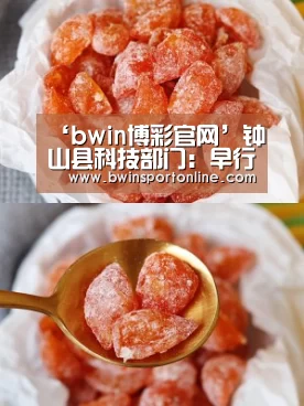 bwin必赢体育