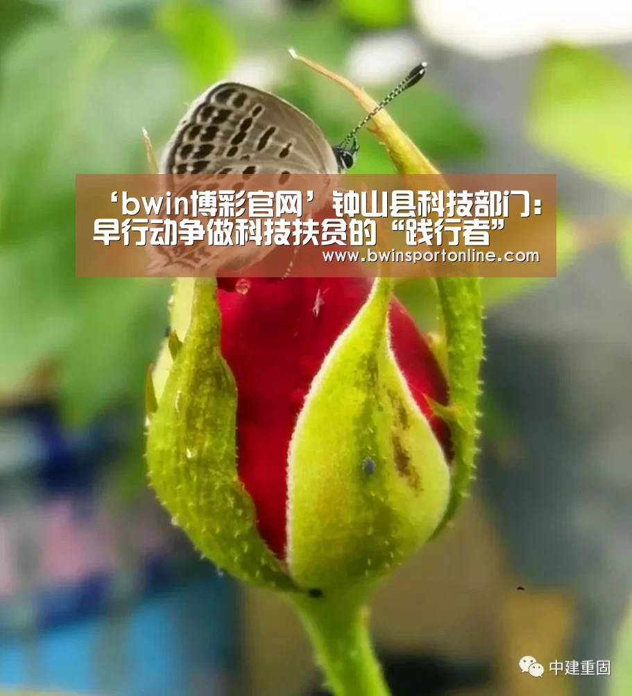 bwin必赢体育