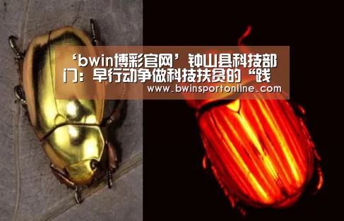 bwin博彩官网