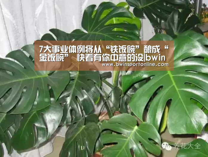 7大事业体例将从“铁饭碗”酿成“金饭碗” 快看有你中意的没|bwin博彩(图4) bwin博彩官网