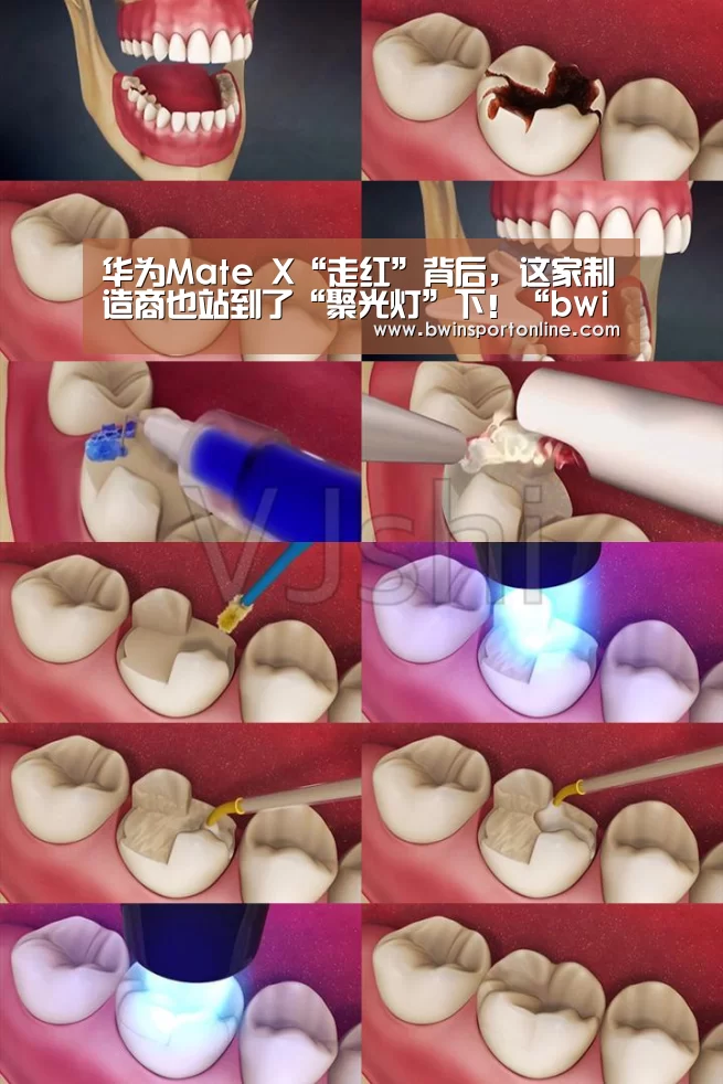华为Mate X“走红”背后,这家制造商也站到了“聚光灯”下!“bwin博彩直播”(图2) bwin博彩直播