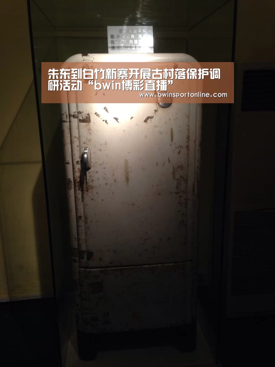 朱东到白竹新寨开展古村落保护调研活动“bwin博彩直播”(图1) bwin必赢体育