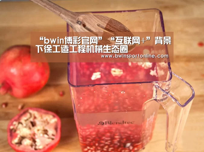 “bwin博彩官网”“互联网+”背景下徐工造工程机械生态圈(图2) bwin博彩