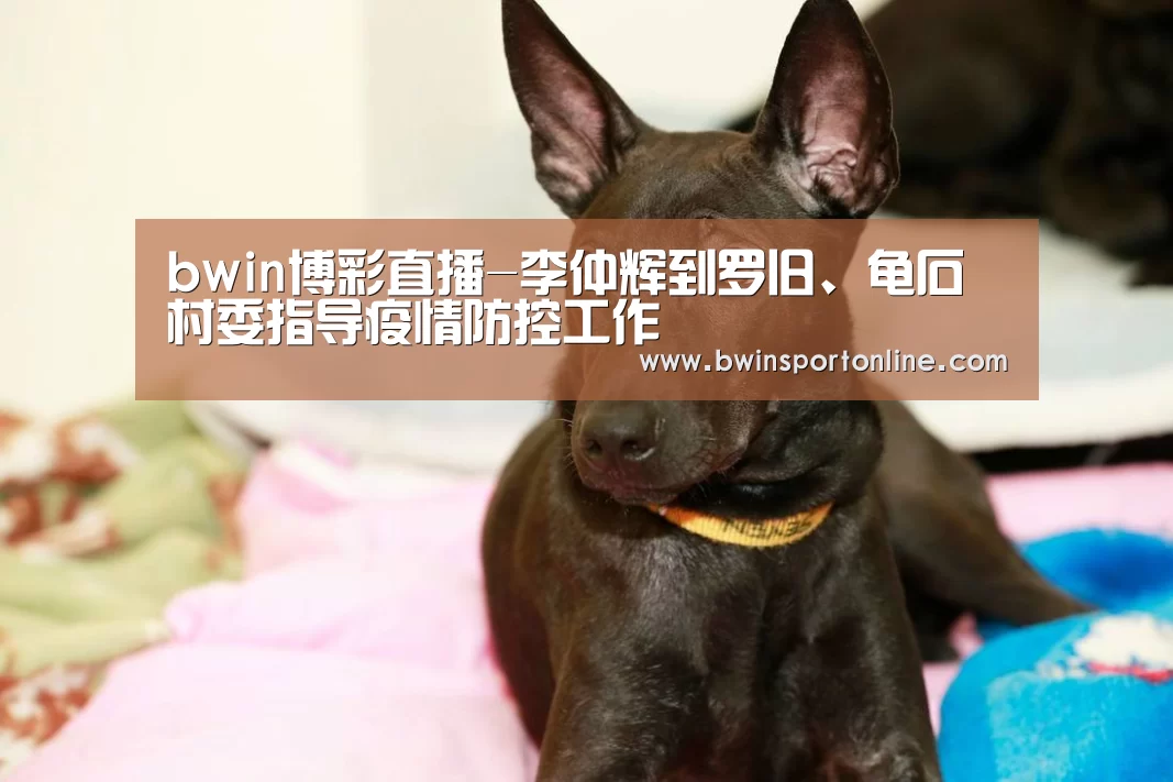 bwin博彩直播-李仲辉到罗旧、龟石村委指导疫情防控工作(图1) bwin博彩